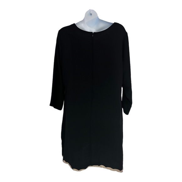 ❣️C’est Nous Tan Trim Black Crepe Office Career Casual Church Dinner Party Dress - Picture 7 of 12